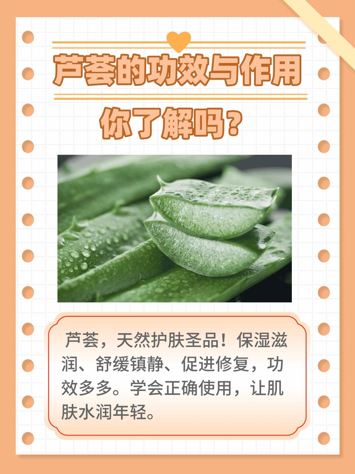 芦荟的功效与作用，你了解吗？
