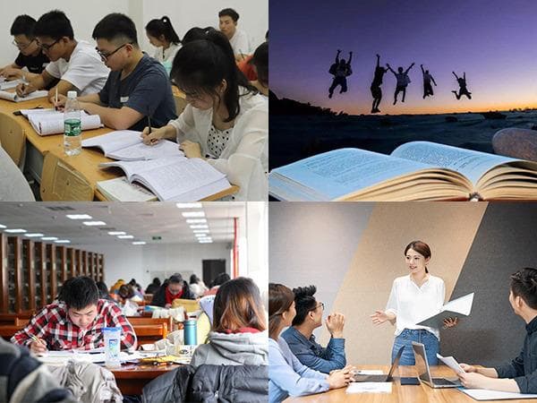 2025年单招院校报考人数统计分析