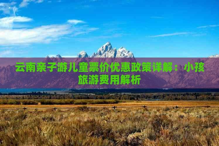 云南亲子游儿童票价优惠政策详解：小孩旅游费用解析