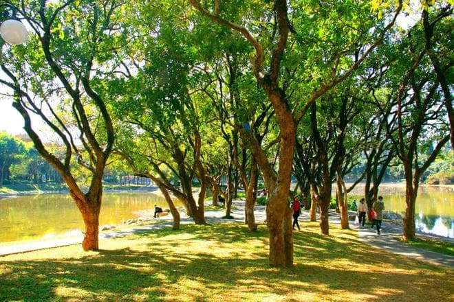 最适合补钙的春天，建议多吃……