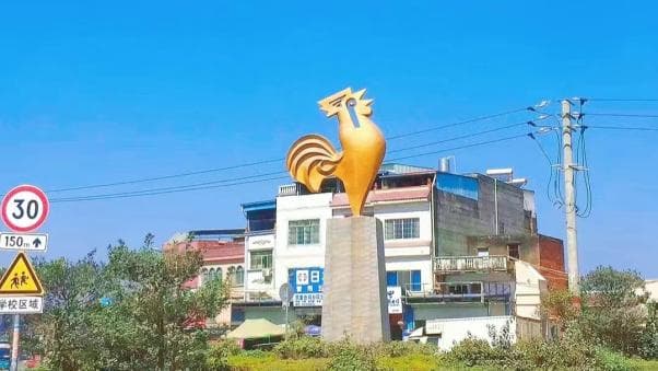 探寻武宣金鸡历史文化