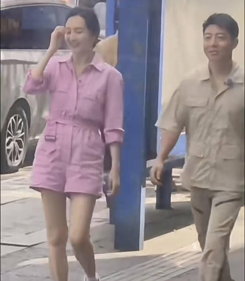 王鸥撒贝宁合体录综引热议