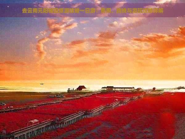 去云南元阳梯田旅游攻略一日游：费用、路线与游玩攻略详解