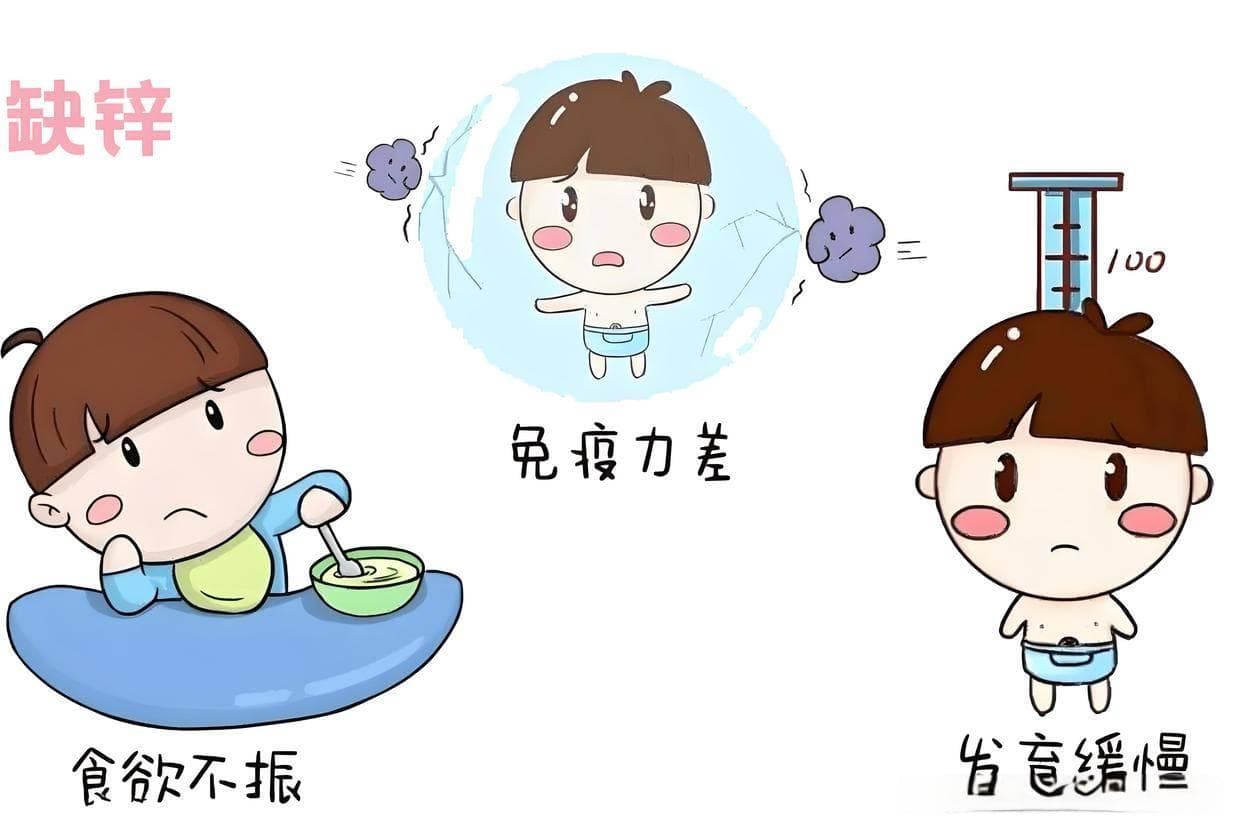 探秘身体“小元素”里的“大秘密”：微量元素分析仪助力健康管理