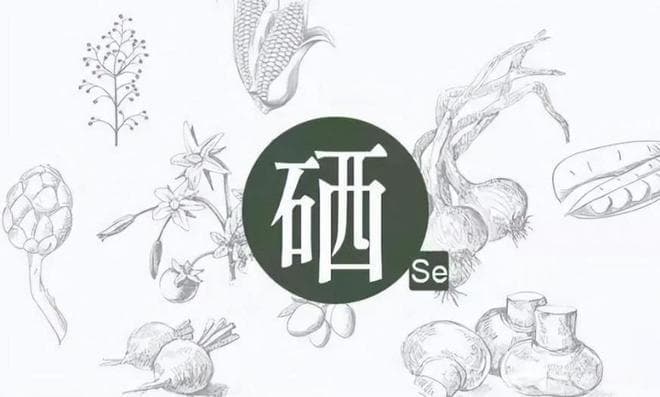 胡歌“患癌”引关注：健康无价，科学补硒是关键！