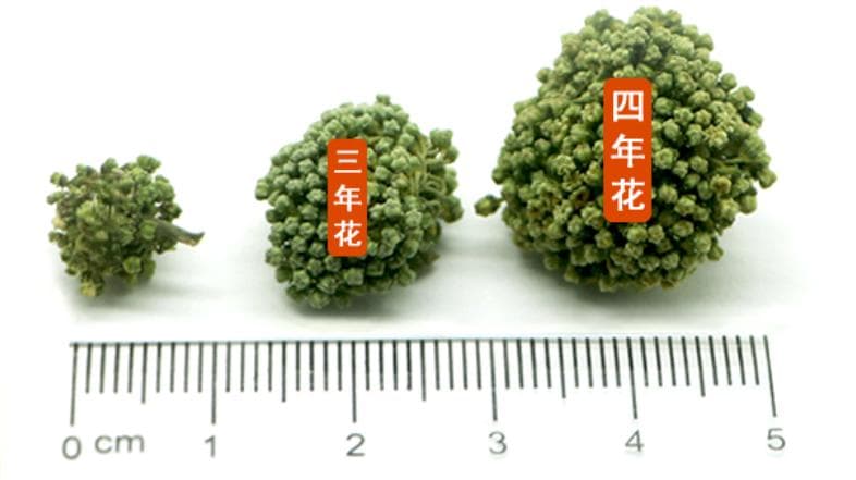 三七花的价格也能差那么多？