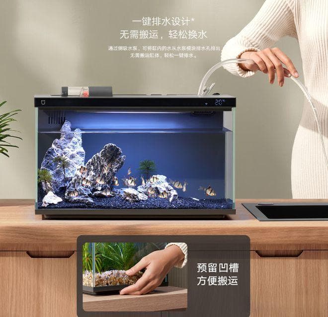家用鱼缸如何清洗？这6点要记住，让鱼儿快乐成长！