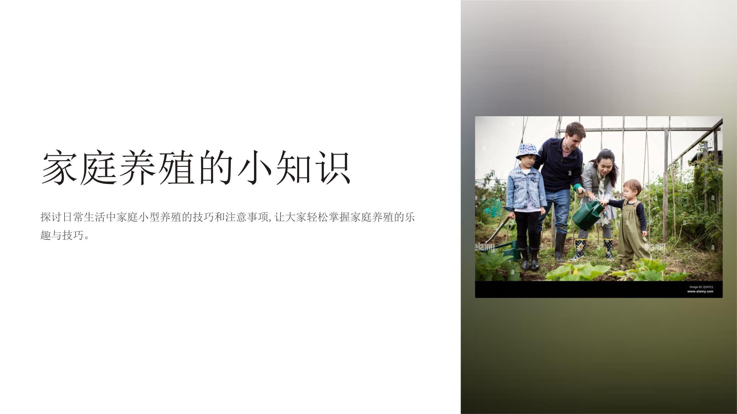 家庭养殖的小知识：从入门到精通的全面指南