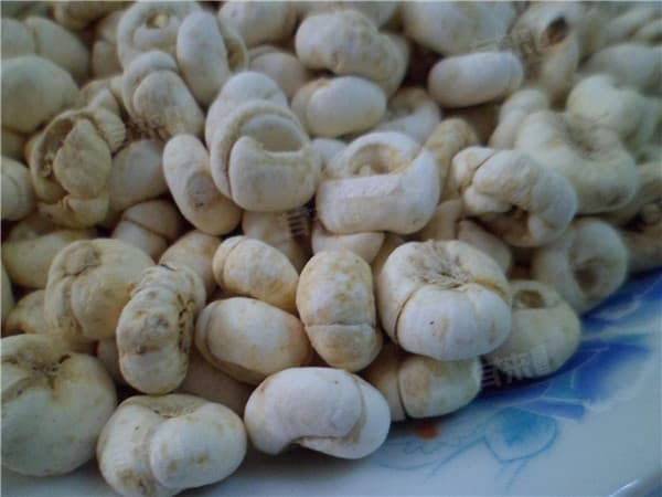 浙贝母的功效与主治范围