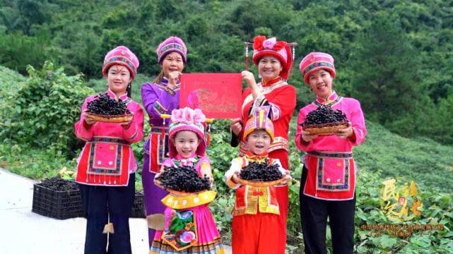 中华优秀传统文化传承发展工程广西“十佳案例”系列节目精彩开播！